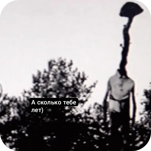 Sticker DlyaRazgovorovDURCAf - 1