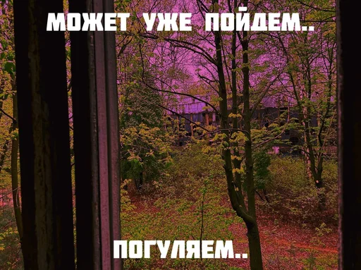 Для Любимого Человека • @anycomldt - 