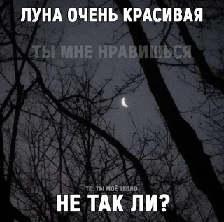 Sticker Для Любимого Человека • @anycomldt - 6