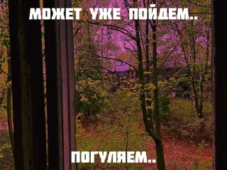 Sticker Для Любимого Человека • @anycomldt - 0