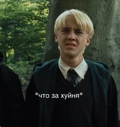 Человек дерево одежда