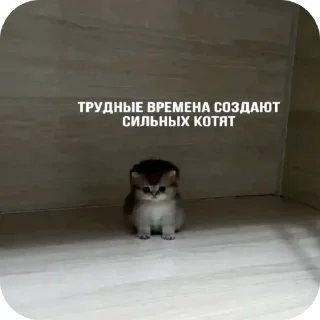 Стикер Мяу - 8