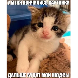 Стикер Мяу - 10