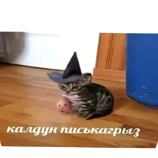 Стикер Мяу - 1