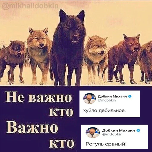 СМС животное млекопитающее