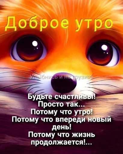 Доброе утро Спокойной ночи - 