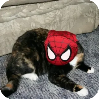 Стикер Добри котики - 1