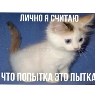 Стикер Добри котики - 9
