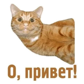Sticker Доброе утро - 1
