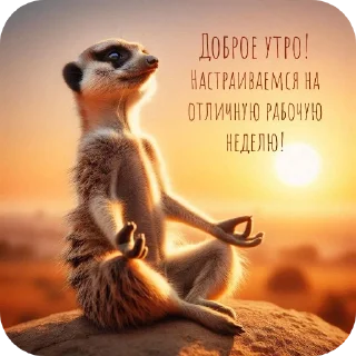 Sticker Доброе утро - 8