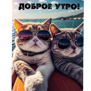 Sticker Доброе утро - 7