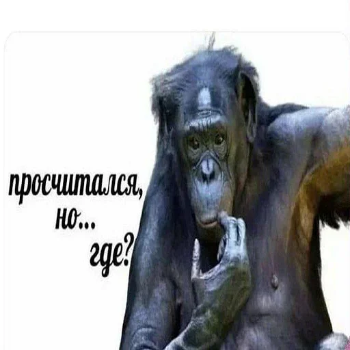 Sticker DobroeUtroV2 - 1