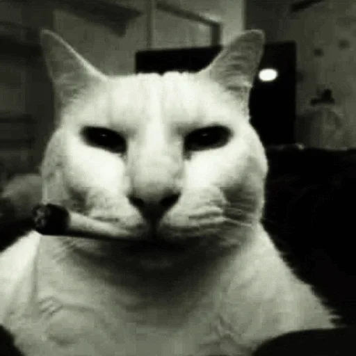 Стикер DobroeUtroV2 - 1