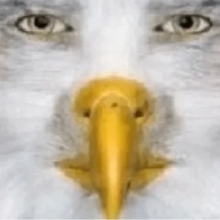 Sticker Доброе утро - 4