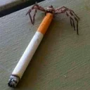 Sticker Боевые картинки Дока и Дуста - 2