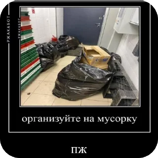 Sticker Додо Пицца К12 - 5