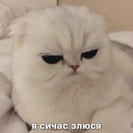 Sticker DoDosiK :: @fStikBot - 10