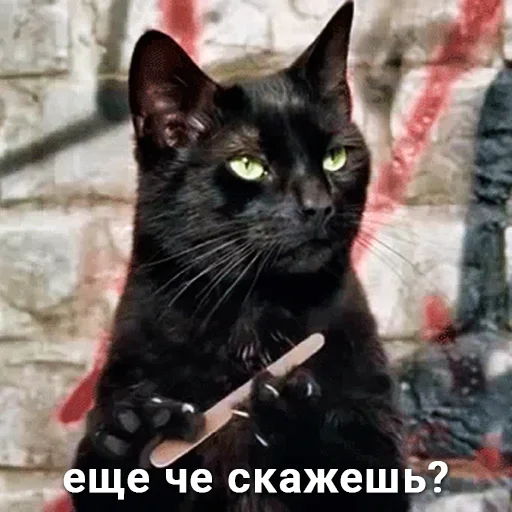 Sticker DoDosiK :: @fStikBot - 3