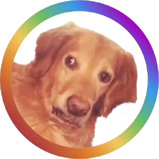 text screenshot animal