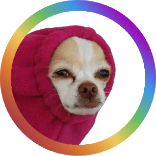 Sticker Dog Faces @stickersb2b - 0