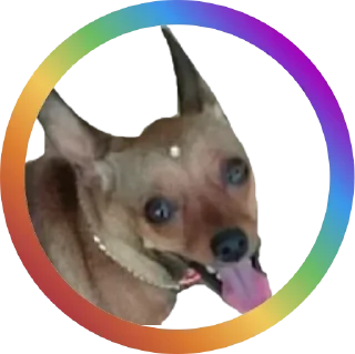 Sticker Dog Faces @stickersb2b - 2