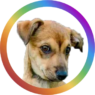 Sticker Dog Faces @stickersb2b - 10