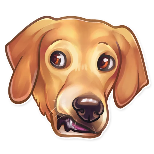 dog breed animal dog