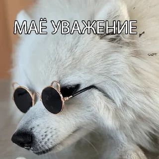 Sticker Kasper_dog - 6