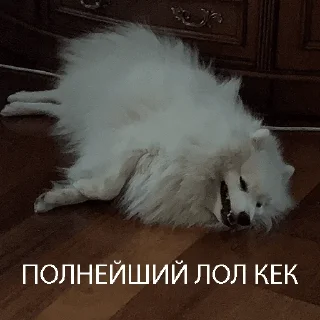 Sticker Kasper_dog - 2