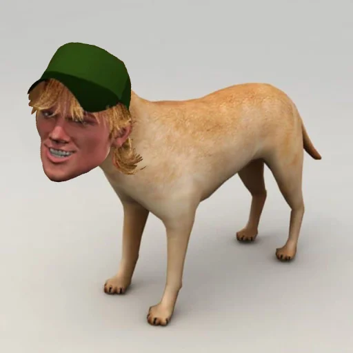 животное млекопитающее порода собак