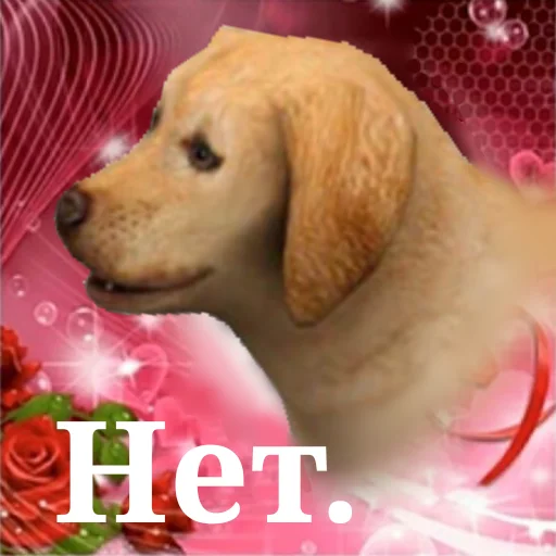 собака животное млекопитающее