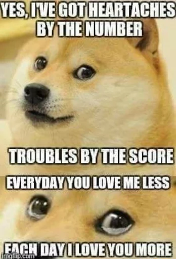 СМС млекопитающее животное