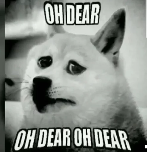 СМС млекопитающее животное