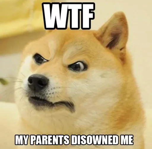 млекопитающее животное собака