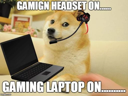laptop computer pet