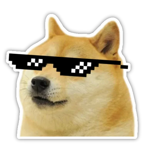 pet dog breed animal