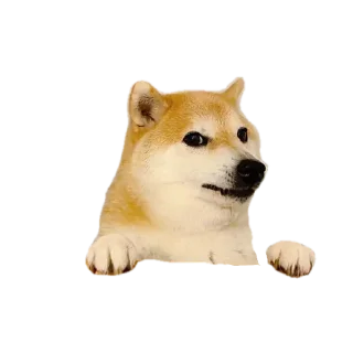 Стикер Собака - @Anime_Aliexpresss - 1