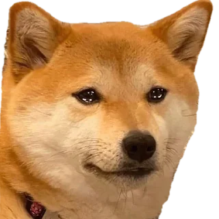 Стикер Собака - @Anime_Aliexpresss - 7