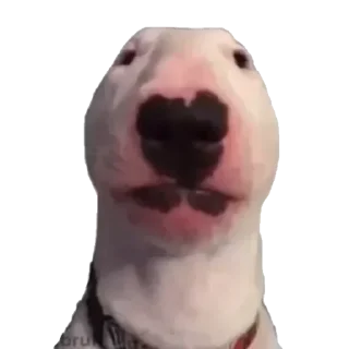 Стикер Собака - @Anime_Aliexpresss - 9