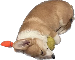 Стикер Фифа - 0