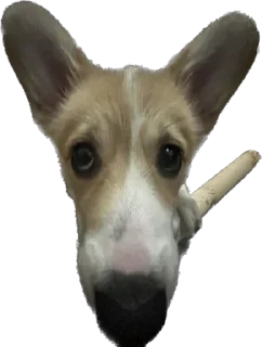 Стикер Фифа - 9