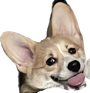 Стикер Фифа - 10