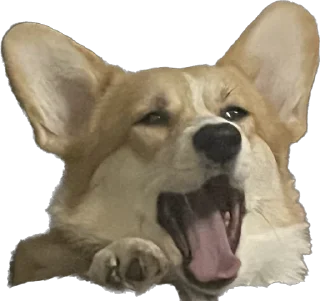 Стикер Фифа - 2