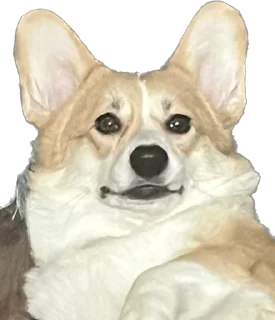 Стикер Фифа - 8