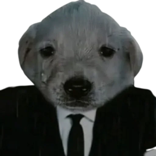 Sticker Doggies_by_e4zybot - 1