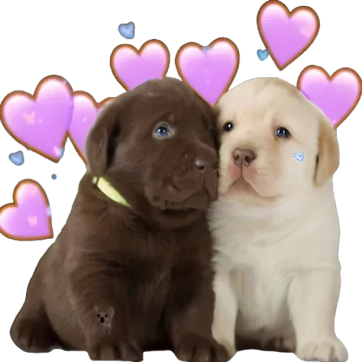 Sticker Doggies_by_e4zybot - 1