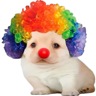 Стикер Doggies • @TgStickery - 3