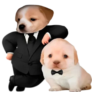 Стикер Doggies • @TgStickery - 10