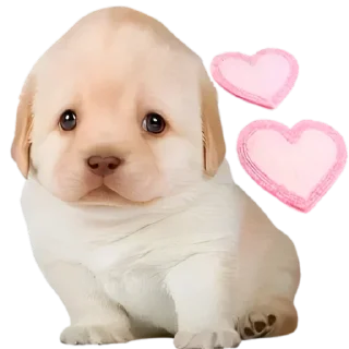 Стикер Doggies • @TgStickery - 8