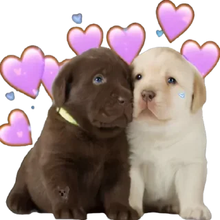 Стикер Doggies • @TgStickery - 9